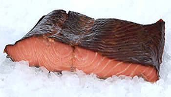 Outstanding Coho Salmon